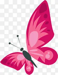 粉色手绘水彩蝴蝶