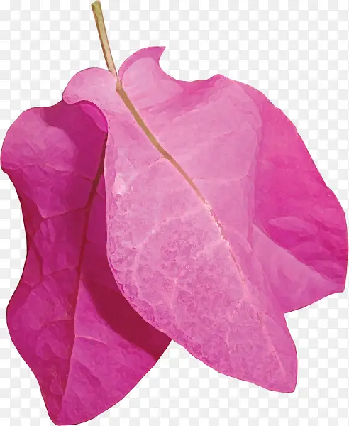 粉色手绘水彩树叶装饰