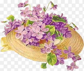 紫色草帽花篮