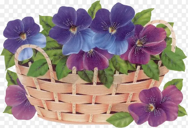 紫蓝花朵花篮