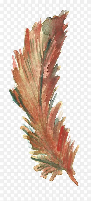红羽毛