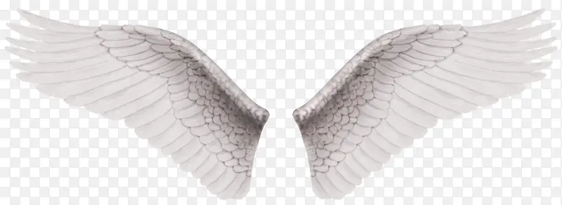 白色天使翅膀元素
