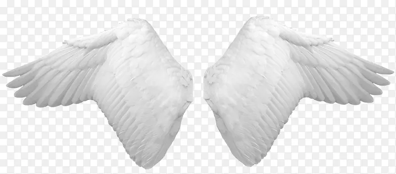 白色翅膀天使翅膀装饰素材