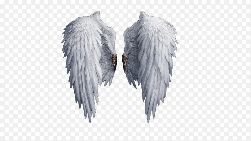 翅膀白色翅膀模板天使