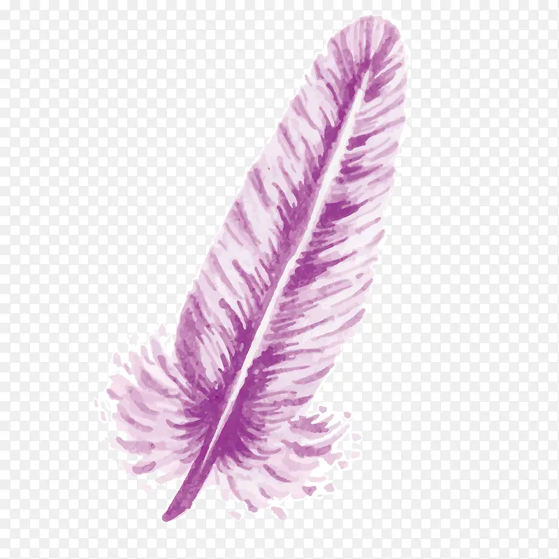 矢量紫色彩绘羽毛