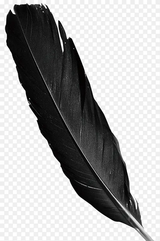 黑色水彩羽毛装饰图案
