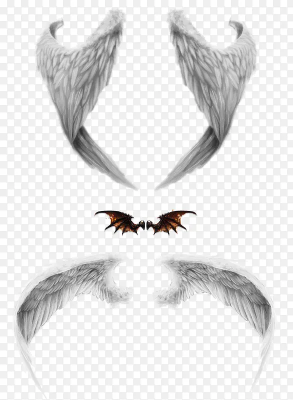 老鹰翅膀和蝙蝠翅膀