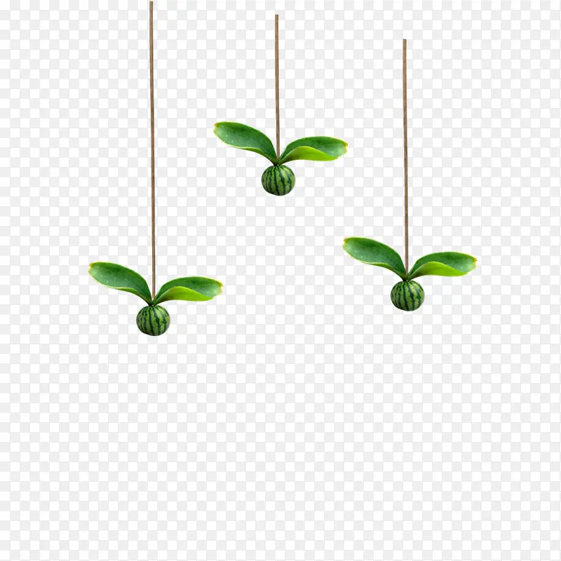 植物小装饰