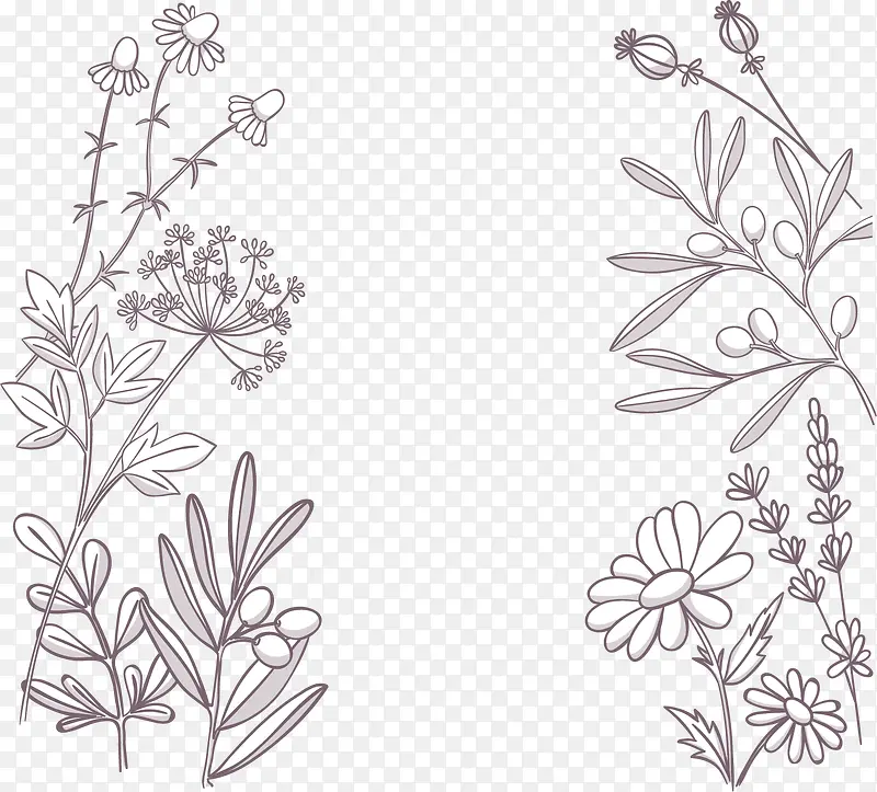 矢量手绘植物花卉