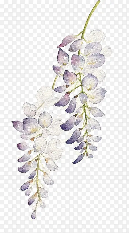 紫色花串