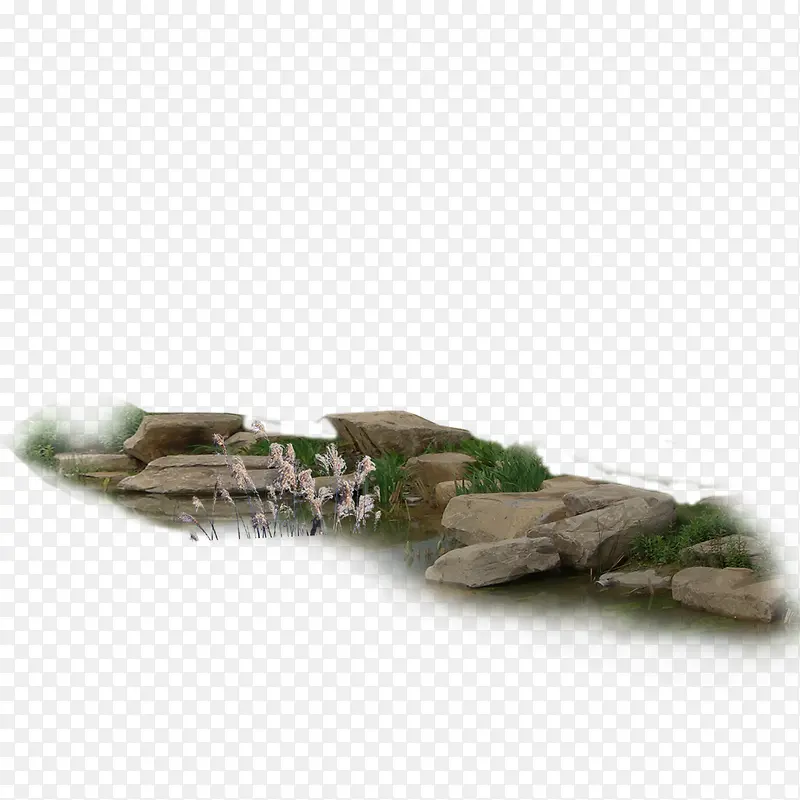 园林 假山 树木 花草