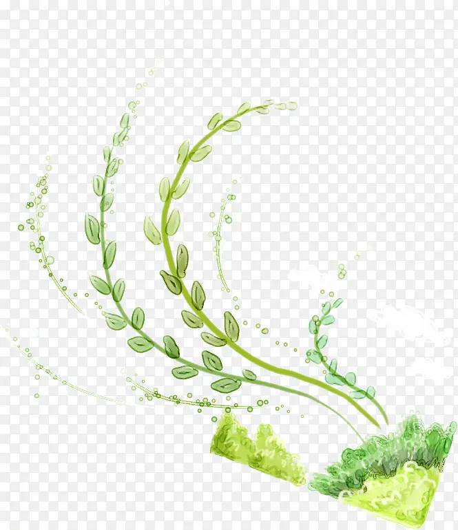 手绘优雅绿色藤条美景