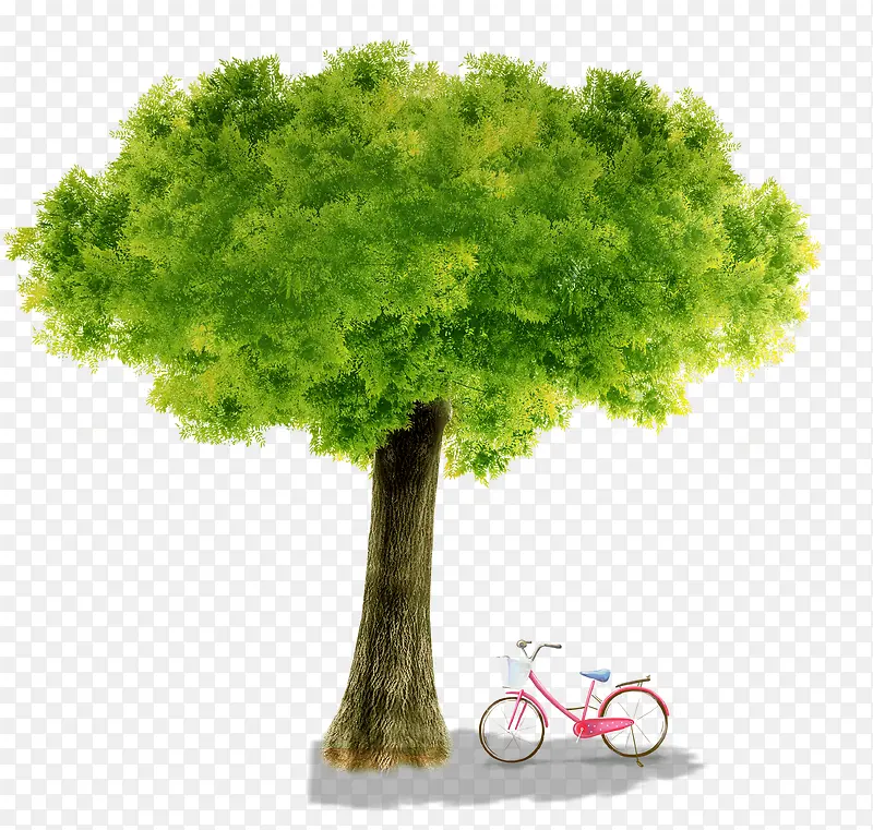 树下单车