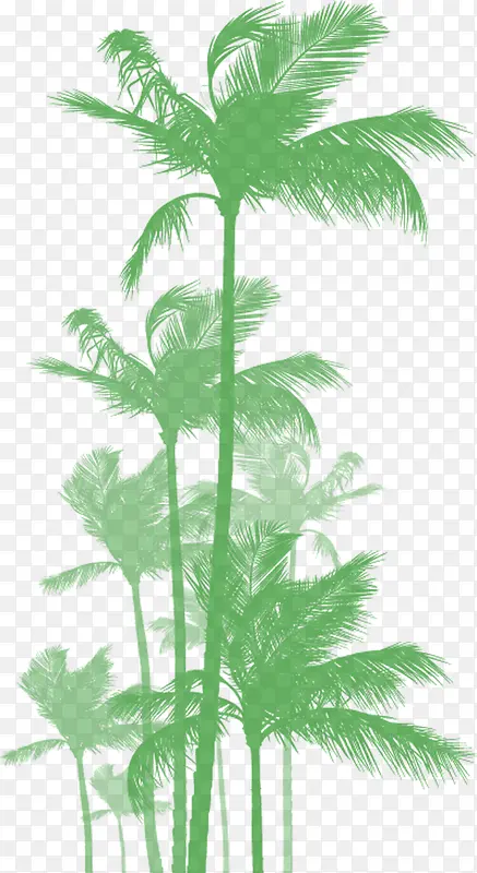 扁平手绘绿色的大树棕榈树大树