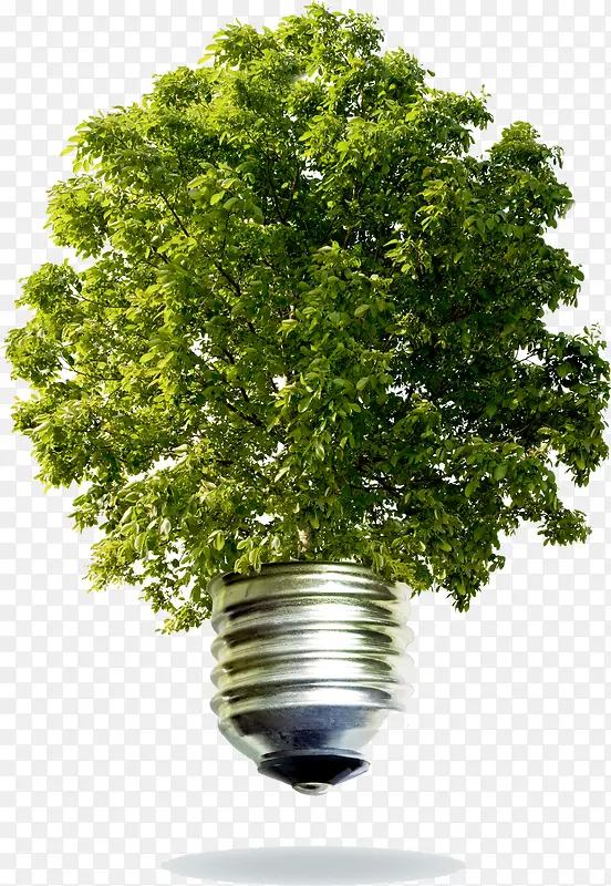 创意大树灯泡节能环保