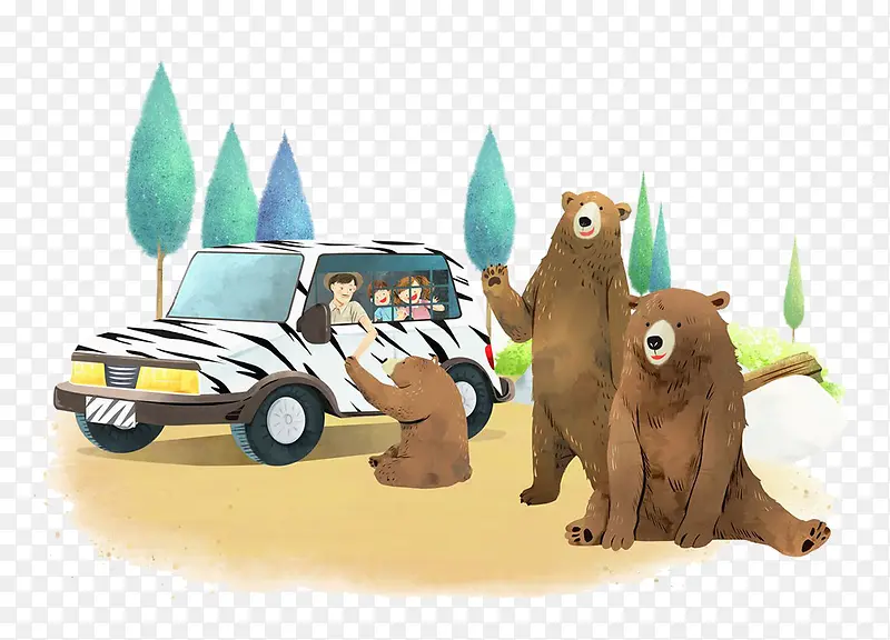 大熊和汽车