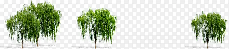 绿色大树庭院装饰PNG图片素材下载_图片编号qlbnegdv-免抠素材网
