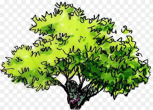 手绘绿色植物大树