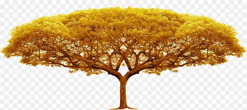 手绘黄色大树十字绣素材