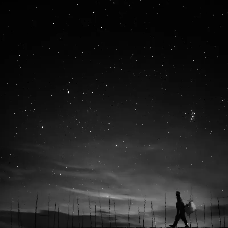 黑色星空苍穹大树