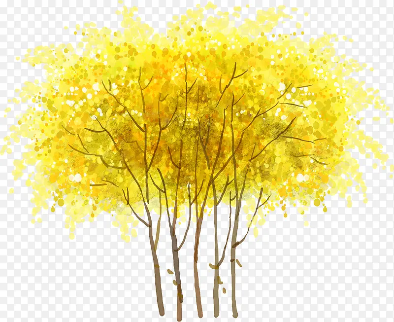 春季黄色大树风景