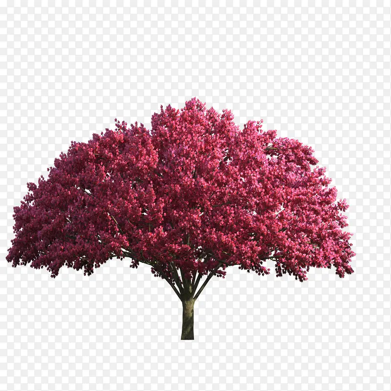 红色艺术美感大树