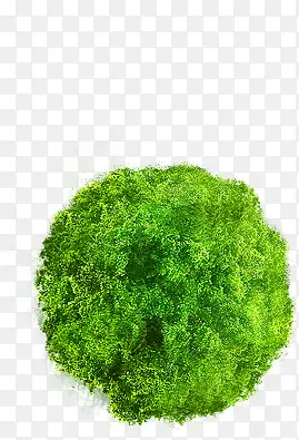 绿色清新大树环保装饰