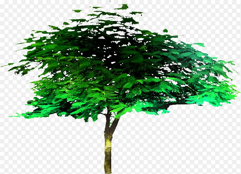 创意合成效果绿色大树