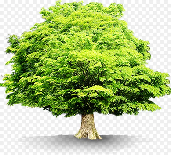 节能环保大树创意