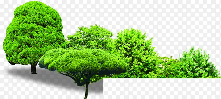 创意高清绿色大树素材