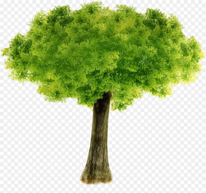 绿色大树公益海报装饰