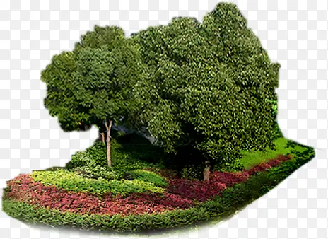高清创意绿色植物大树