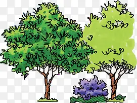 合成创意绿色的树木大树