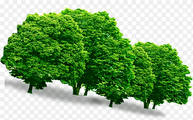 清新绿色大树装饰