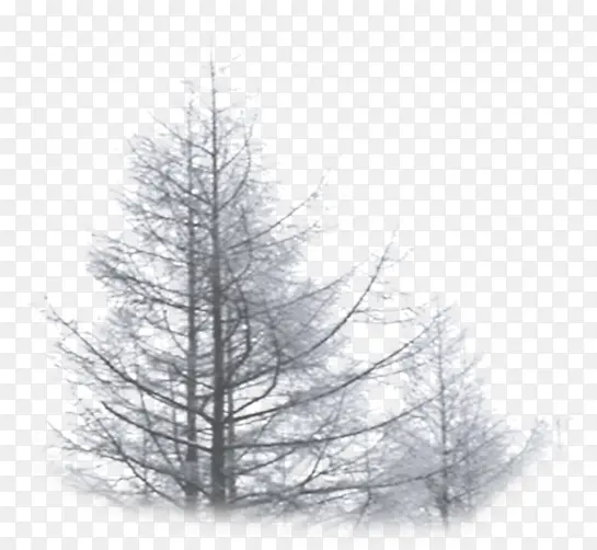 高清摄影雾霾环境大树