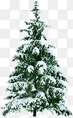 圣诞节日冬日大树
