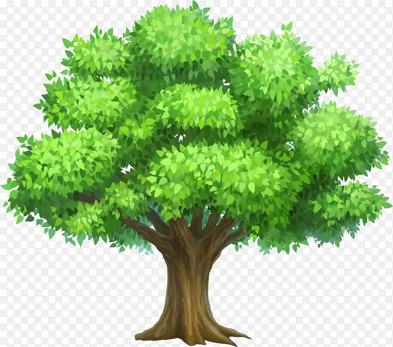 绿色茂密生长大树