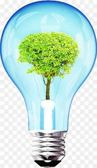 绿色大树蓝色灯泡