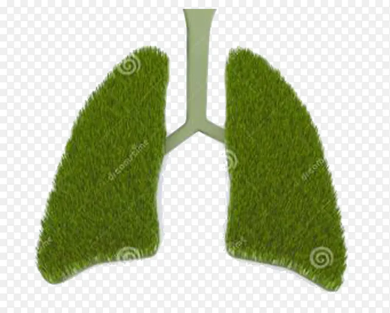 绿草的肺
