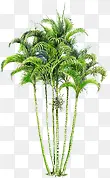 漫画绿色园林植物大树装饰