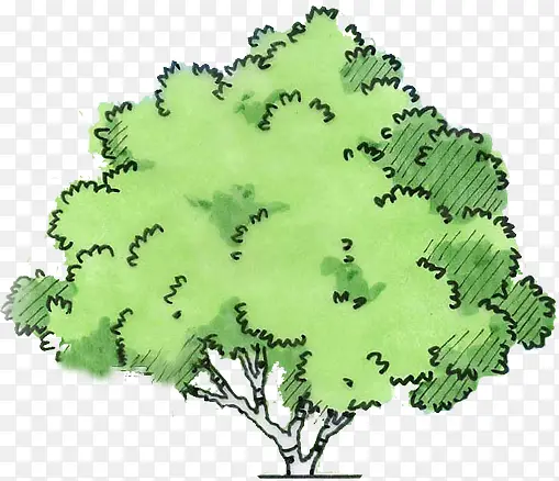 绿色手绘景观大树