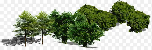 高清创意环境渲染效果绿色的大树