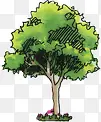 圆形绿色手绘植物大树装饰