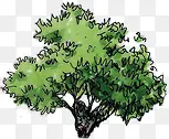 漫画绿色园林植物手绘大树