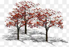大树红色树影优秀