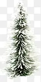 冬日雪景大树装饰
