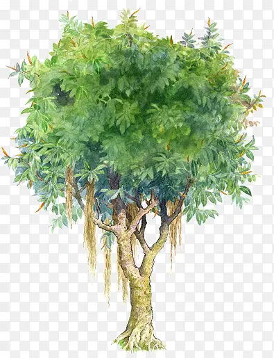 手绘清新绿色植物大树PNG图片素材下载_图片编号yanxvmgx-免抠素材网