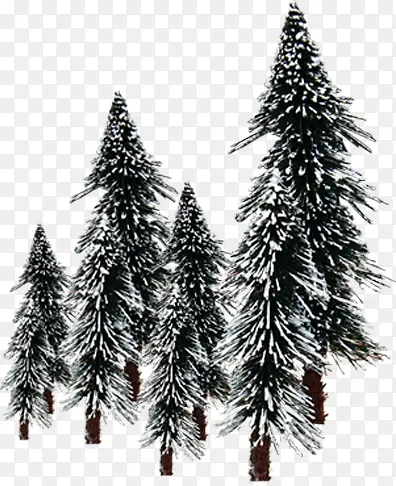 冬日大树美景雪景