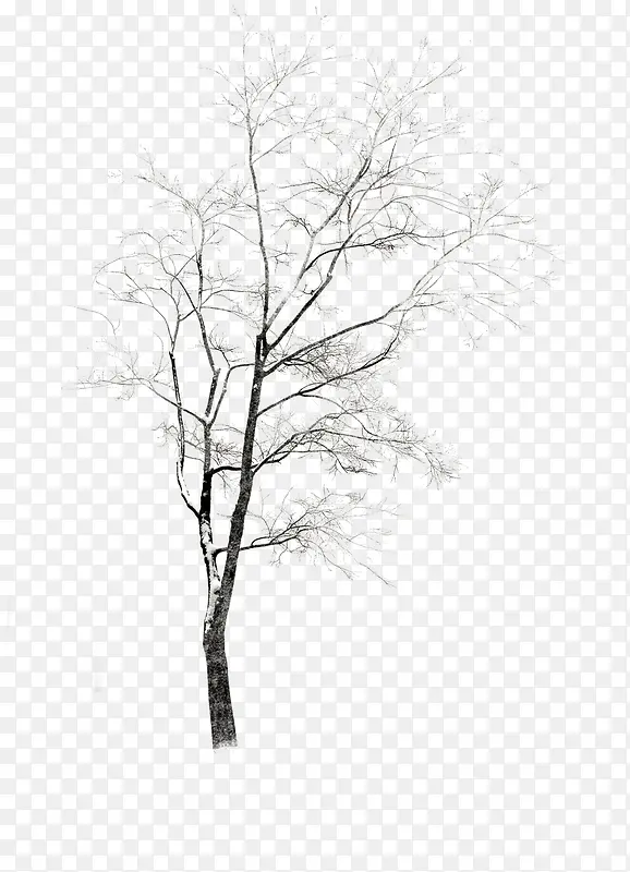 冬季景观创意大树