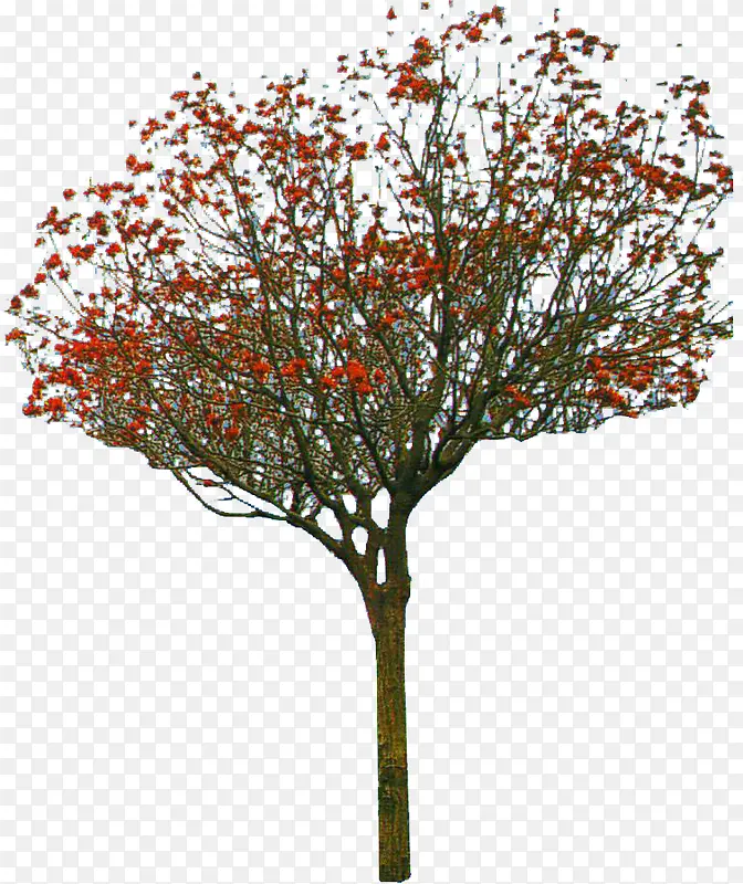 红色花朵大树装饰